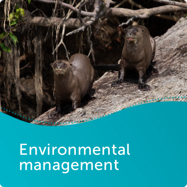 Gestão Ambiental